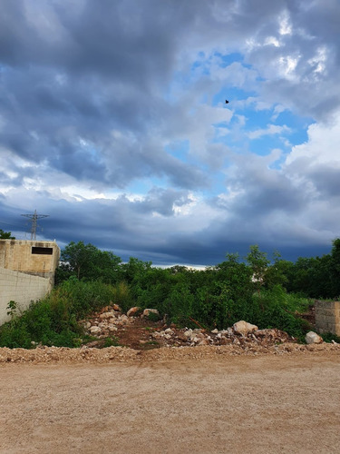 Imagen 1 de 2 de Se Vende Terreno En Santa Gerdrudis Copó