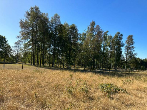 Terreno Plano A 8 Kms Del Centro De Pucon