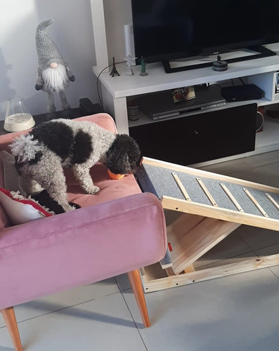 Rampa Con Descanso Para Perros Y Otras Mascotas (Usado)