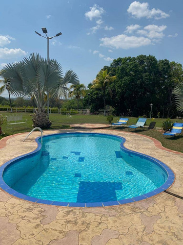 Imagen 14 de 14 de Ruth Ramirez 0414 4211599 135246 Venta Finca Santa Isabel