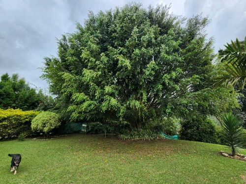 Imagen 9 de 16 de Hermosa Finca Para La Venta En Guarne Sector La Hondita 3.394 Mts²