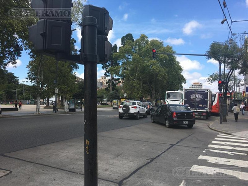 Imagen 7 de 8 de Mega Local En Constitución