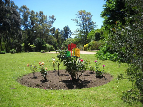 Imagen 4 de 30 de Venta Chacra Punta Del Este - Zona Rural