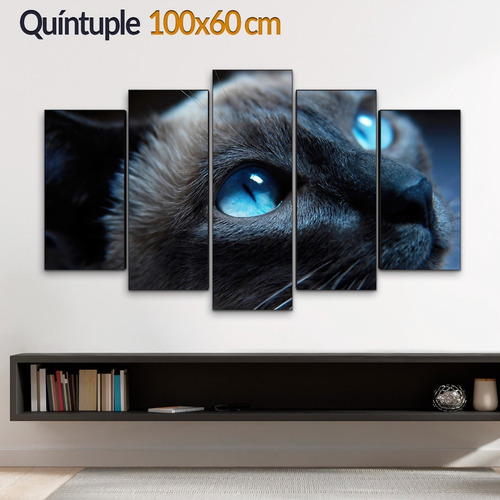 Cuadro Decorativo Moderno Gato Mirada Jd-0343 G Quíntuple 100x60 Cm Sin Marco