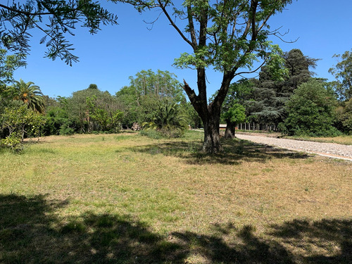 Imagen 7 de 11 de En Venta Terrenos/lotes De 11 X 25 En B° Cerrado Los Robles A Mts. De Ruta 8 - Jose C Paz Rincon De Tortuguitas Gba Zona Norte