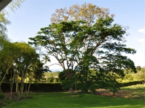 Imagen 19 de 29 de Venta Finca En Santagueda. Cod:305599