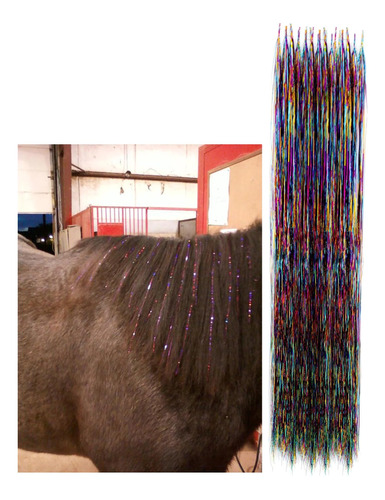 Dielianyi Caballo Bling Accesorio Melena Y Cola Bling Pony P