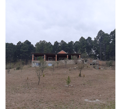 Campo De 3 Y 4 Hectáreas Con La Posibilidad De Construir Para Proyecto Turístico, Y Holístico, Hermosa Arboleda De Pinos Y Paisaje Extraordinario, Tranquilidad Y Naturaleza, Estanques Naturales