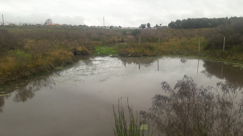 7 Hectáreas Y Media,chacra A La Venta En Canelones