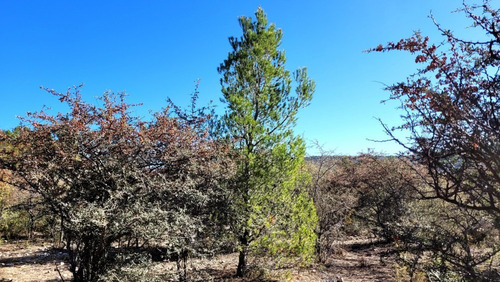 Imagen 7 de 18 de Lote En Los Hornillos Bv. Los Olivares Escrituracion Futura