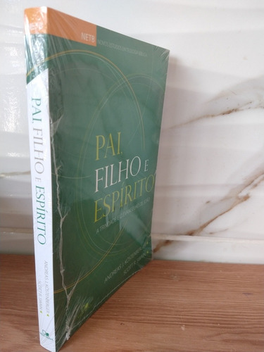 Pai, Filho E Espírito Santo A Trindade E O Evangelho De João