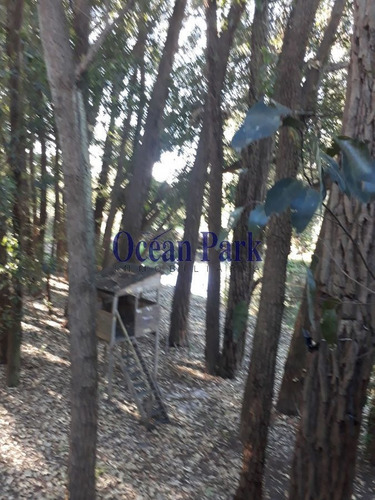 Imagen 18 de 18 de Integrada Al Bosque, Cómoda, Alquiler De Temporada