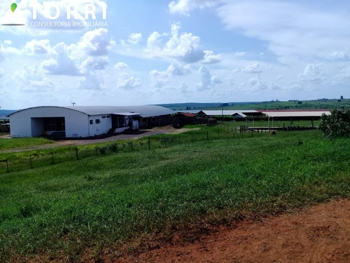 Imagem 2 de 10 de Fazenda À Venda Região De Bauru - Fa00132 - 69211844