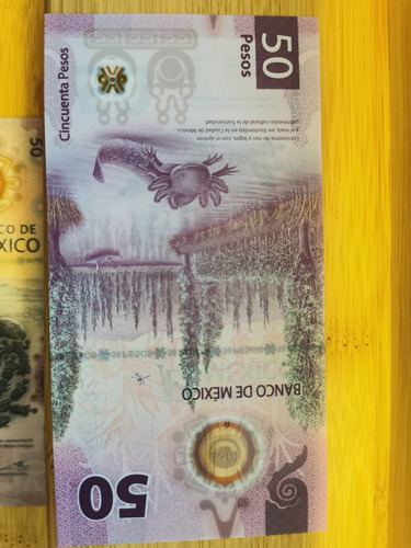 Billete 50 Pesos Mexicanos Ajolote Serie Ab Perfecto Estado
