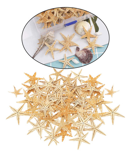 2 Pequeña Natural Para 1-5cm 100 Piezas
