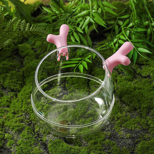Bañera De Arena De Hámster Ducha De Ducha De Animal Rosa