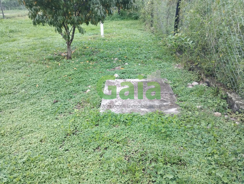 Terreno Con Deposito En Venta En El Durazno 3 La Caldera