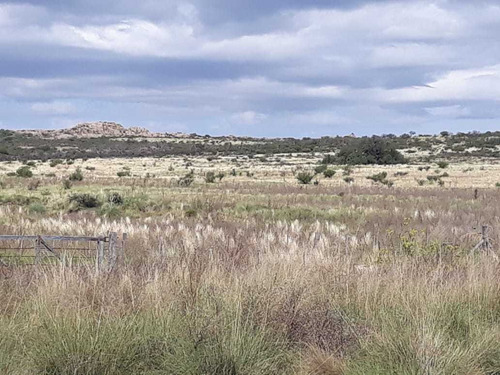Imagen 9 de 11 de Campo De 350 Has.en San Luis , (gran Oportunidad) Dño Direct