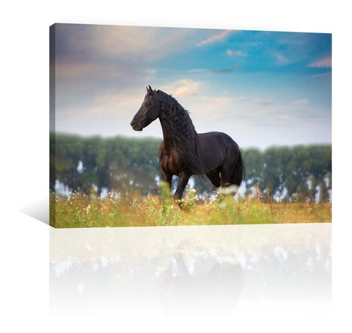 Cuadro Decorativo Canvas Animales Caballo En El Campo