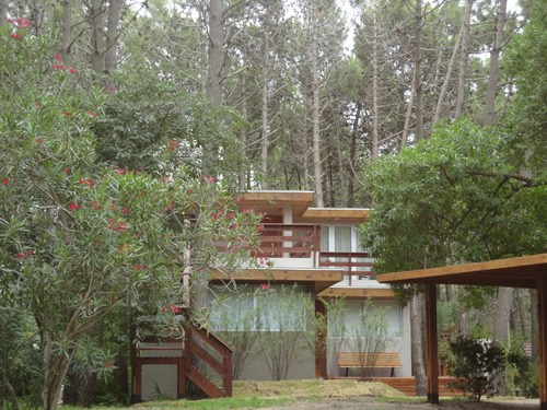 En El Bosque A 200m Del Mar, 300m Del Centro.