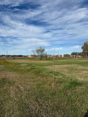 Venta Terreno / Lote Villa Ruiz