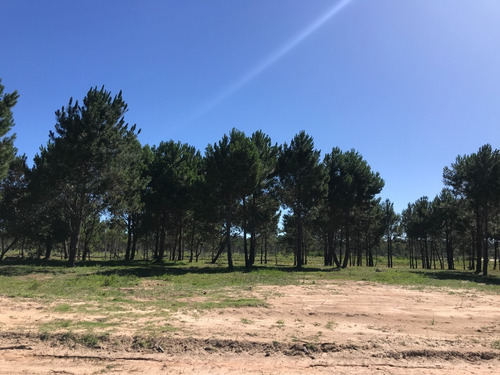Imagen 4 de 9 de En Venta - Los Zorzales - Loteo De 30 Solares - Mza 423