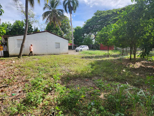 Granja Avicola Ventas La Ciénaga