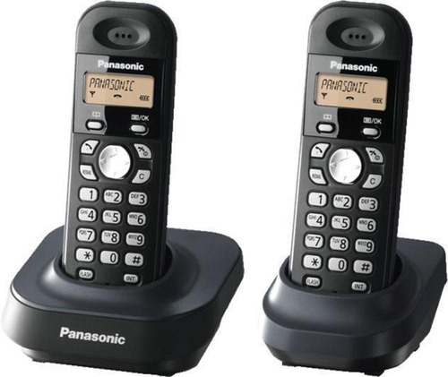 Telefono Inalambrico Panasonic Kx Tg1311ag2