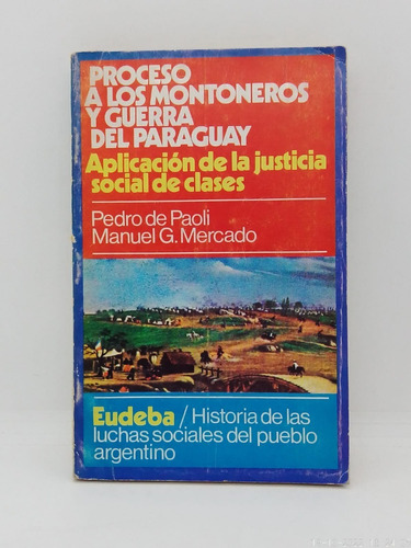 Proceso A Los Montoneros Y Guerra Del Paraguay - Usado 