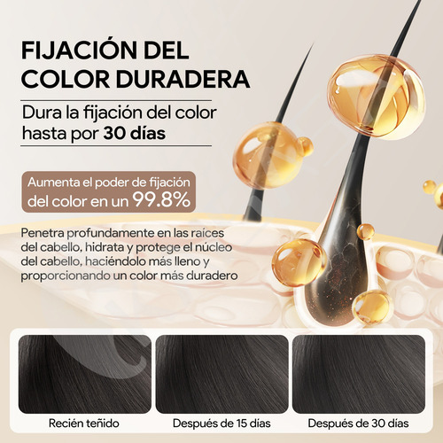 Shampoo Tinte Instantaneo Cubre Canas Extracto De Ginseng