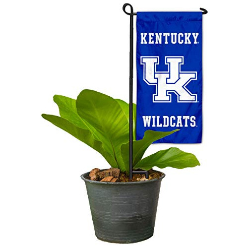 Miniflag De Kentucky Wildcats Jardín Y Maceta