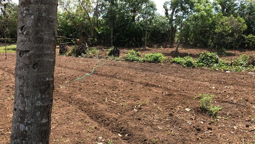 Vendo Terreno En Bonao