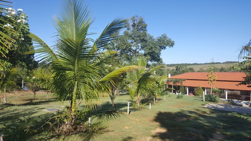 Imagem 6 de 20 de Chácara Com 5 Dormitórios À Venda, 4000 M² Por R$ 1.260.000,00 - Zona Rural - Silvânia/go - Ch0001