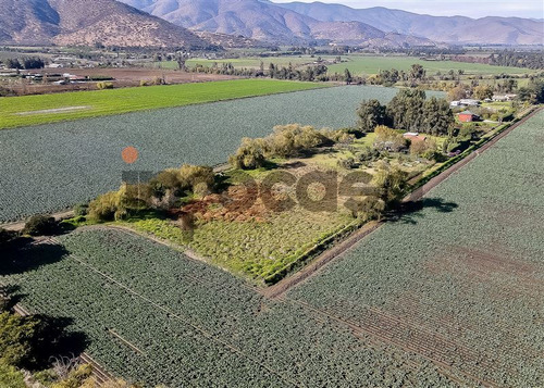 Parcela, T. Agrícola, Sector Lolenco, Curacaví, Melipilla
