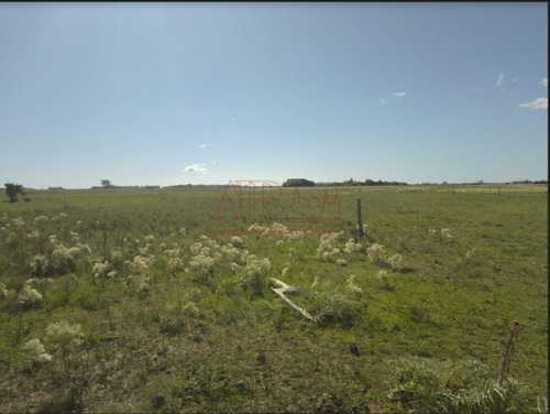 Imagen 15 de 15 de Venta,de Importante Campo En Roberto. J. Payro, Partido De Magdalena.