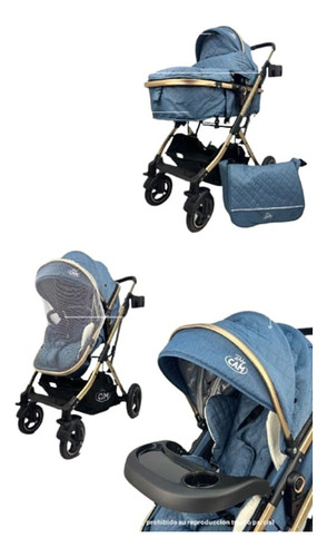 Coche Moises Cuna Modelo Golden Travel Babycam Super Lujo