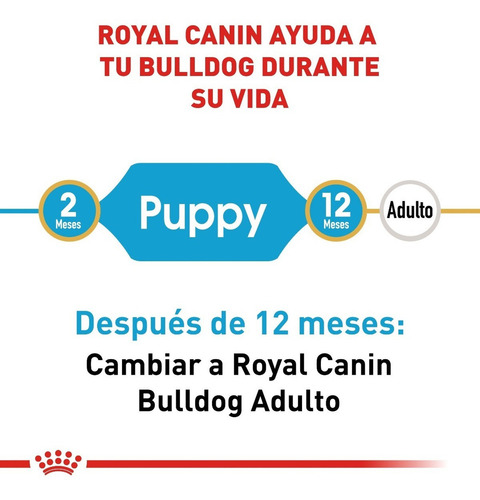 Royal Canin Bulldog Puppy 13.6 Kg Nuevo Original Sellado