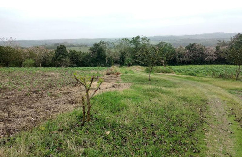 Venta Rancho Ganadero 103 Hectáreas Carretera Tuxpan -tampico