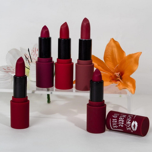 Set 6 Lapices Labiales Efecto Mate Labios Intensos Elegantes