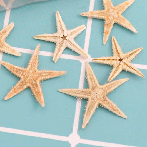 Cc 100 Piezas De Estrellas De Mar Naturales, Concha Marina,