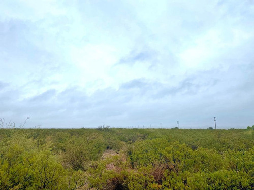Imagen 4 de 7 de Venta De Campo, Lujan De Cuyo, Mendoza