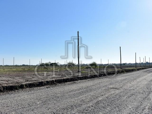 Imagen 2 de 7 de Terreno - Arana