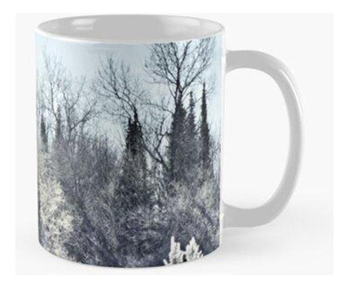 Taza Bosques De Diciembre Calidad Premium