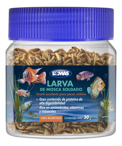 Larva De Mosca Soldado Para Peces Ciclidos 30 Gr Lomas