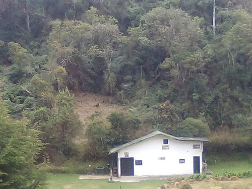 Gm -se Vende Terreno En La Vía Del Junquito A La Colonia Tovar Entrando Por Ponilandia Y Frente A La Pista De Karting