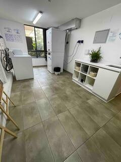 Arriendo Temporal Dpto Amoblado /1d 1b 1 Estacionamiento