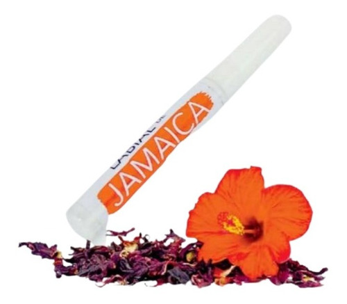 Karol Cosmetics Labial De Jamaica Cosmetico Vegetal