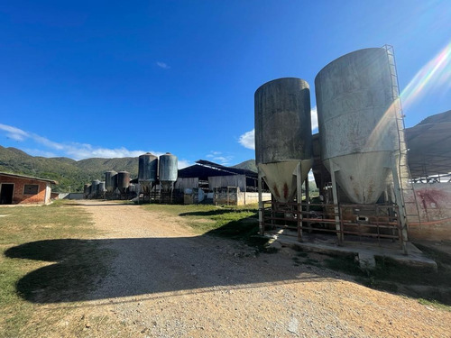 Imagen 8 de 12 de Finca Para La Cria De Cerdos En La Victoria En Venta