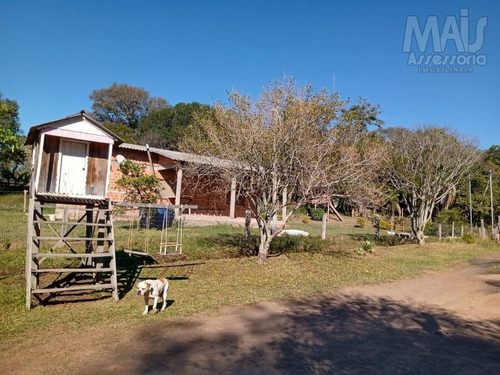 Imagem 5 de 15 de Chácara Para Venda Em Santo Antônio Da Patrulha, 3 Dormitórios, 2 Banheiros, 2 Vagas - Cwvcr017_2-1051703