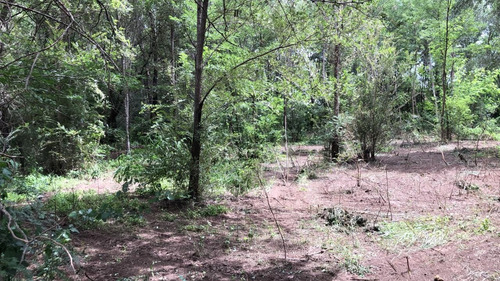 Imagen 3 de 6 de Vendo Lotes En San Roque